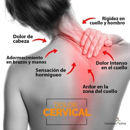 Imagen 0