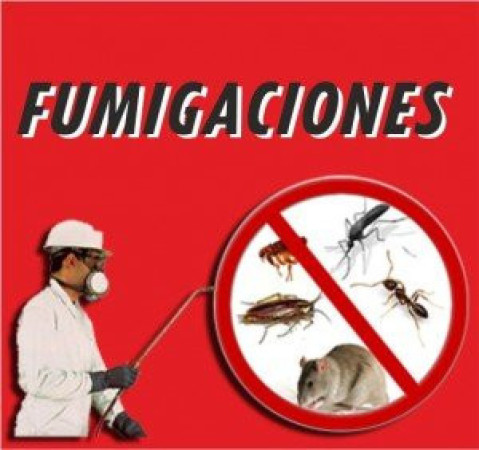 Imagen 0