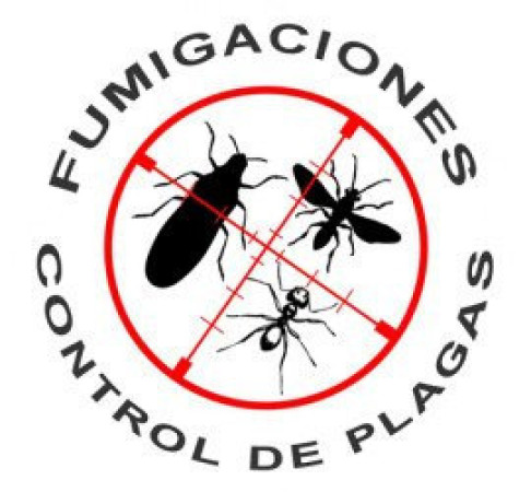 Imagen 3 de servicio