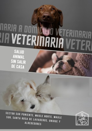 Imagen principal del servicio
