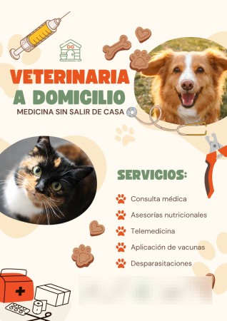Imagen principal del servicio