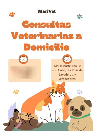 Imagen principal del servicio
