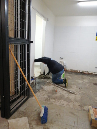Imagen 5 de servicio