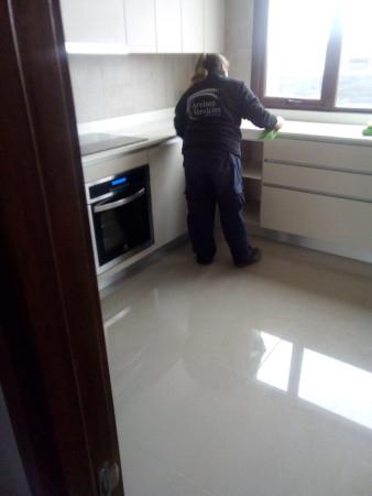 Imagen 8 de servicio