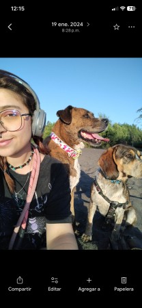 Imagen 2