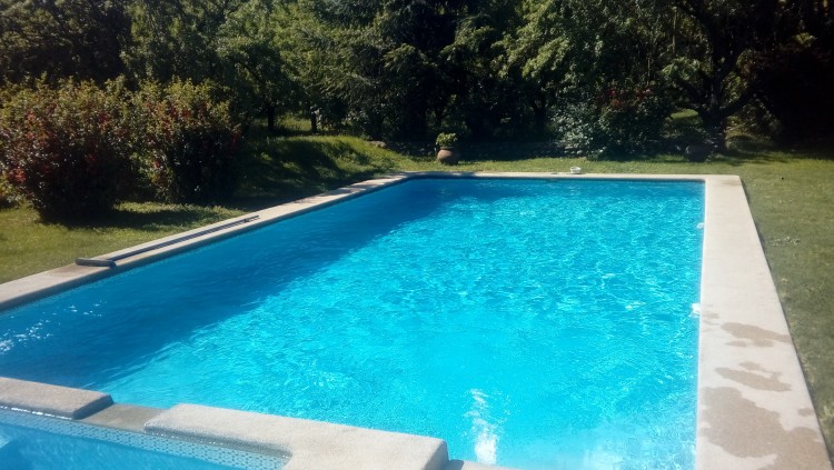 Imagen 0