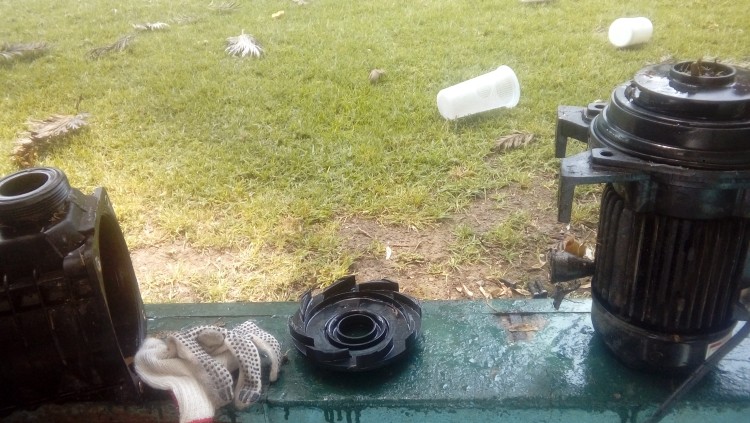 Imagen 5 de servicio