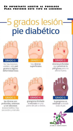 Imagen 10 de servicio