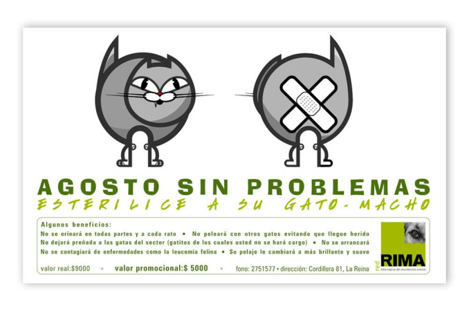 Imagen 13 de servicio