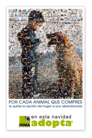 Imagen 14 de servicio