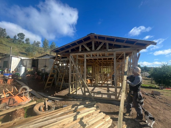 Imagen 2