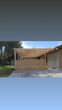 Imagen 5 de servicio