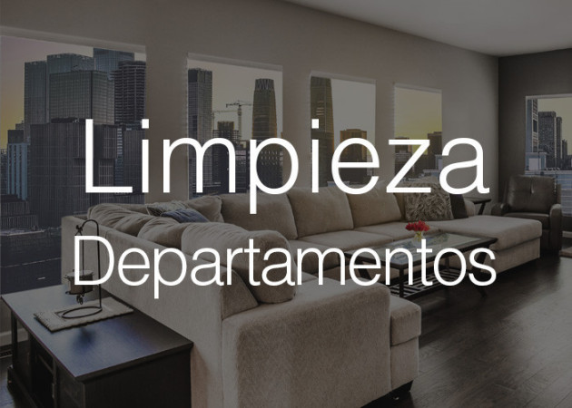 Imagen 12 de servicio