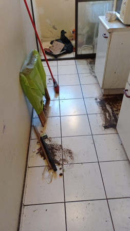 Imagen 23 de servicio