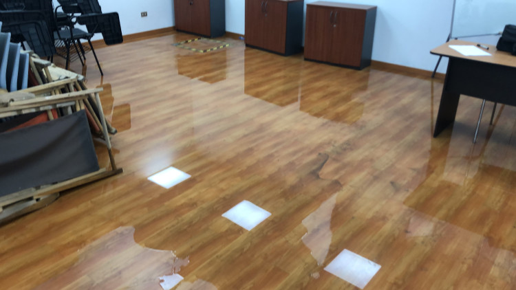 Imagen 9 de servicio