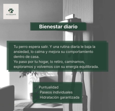 Imagen 3 de servicio