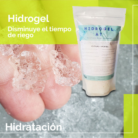 Imagen 8 de servicio