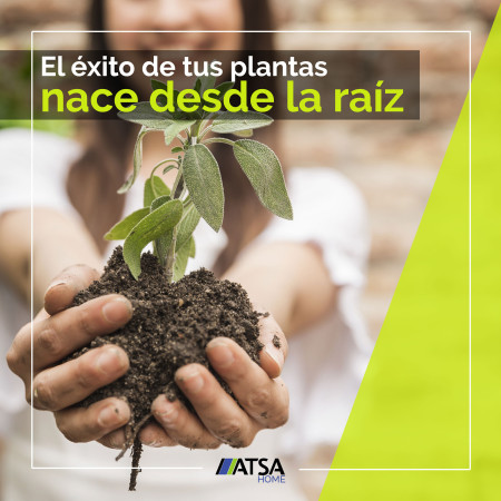 Imagen 9 de servicio