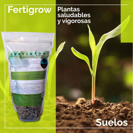 Imagen 10 de servicio