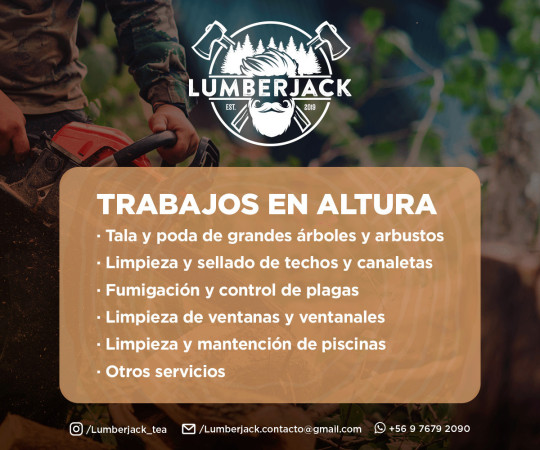 Imagen 3 de servicio