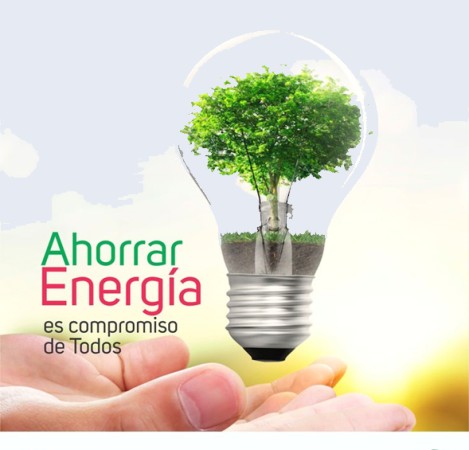 Imagen 0