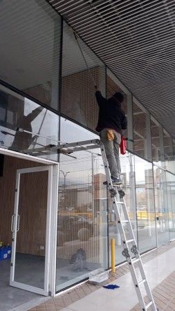 Imagen 2