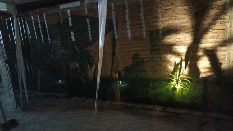 Imagen 8 de servicio