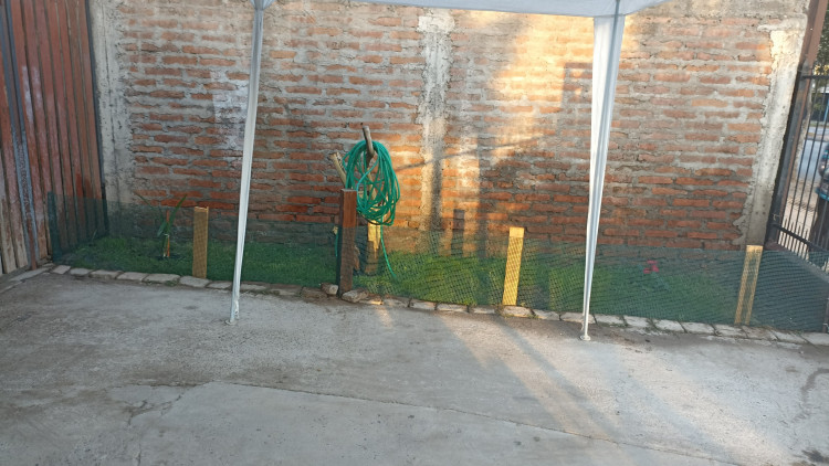 Imagen 9 de servicio