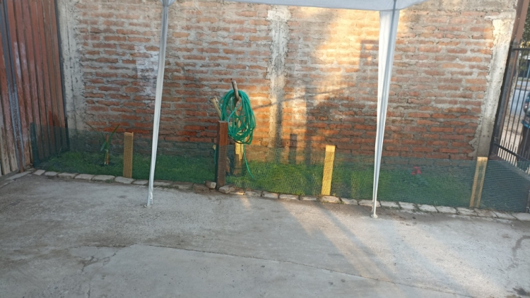 Imagen 17 de servicio