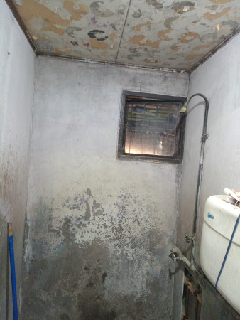 Imagen 84 de servicio
