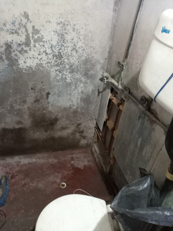 Imagen 85 de servicio