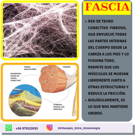 Imagen 0