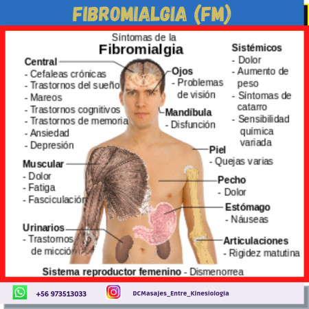Imagen 4 de servicio