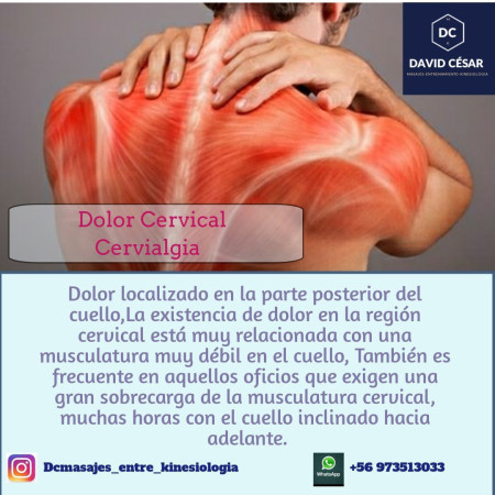 Imagen 9 de servicio