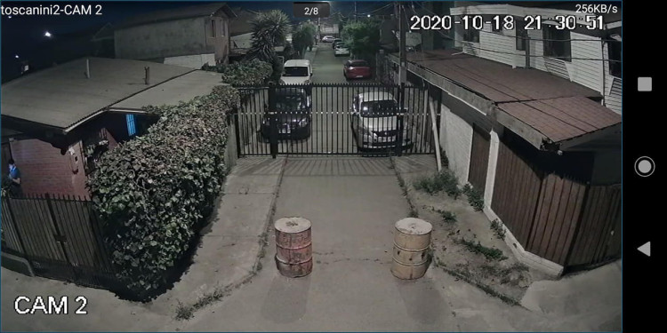 Imagen 2