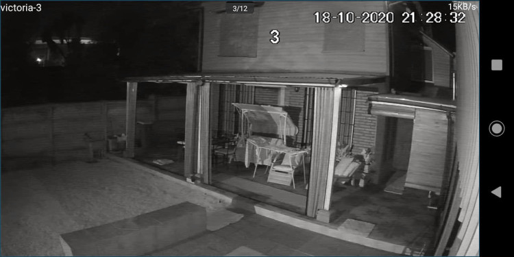 Imagen 8 de servicio