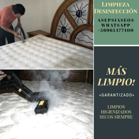 Imagen 0
