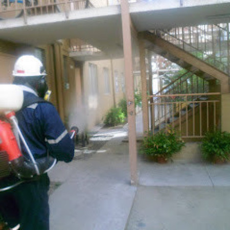 Imagen 2