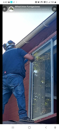 Imagen 6 de servicio