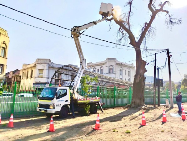 Imagen 10 de servicio