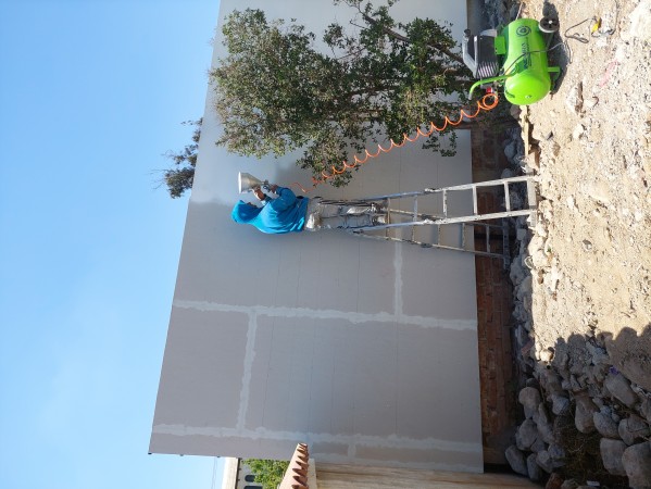 Imagen 2
