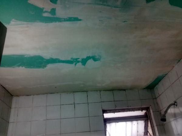 Imagen 8 de servicio