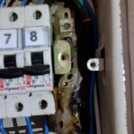 Imagen 8 de servicio