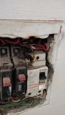 Imagen 10 de servicio