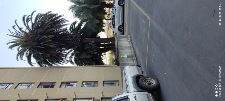 Imagen 59 de servicio