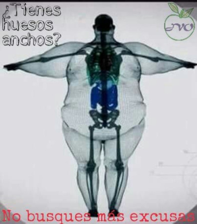 Imagen 0