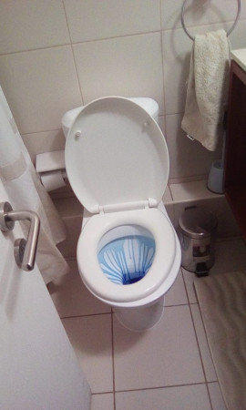 Imagen 0