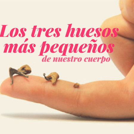 Imagen 7 de servicio