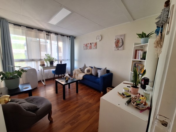 Imagen 2