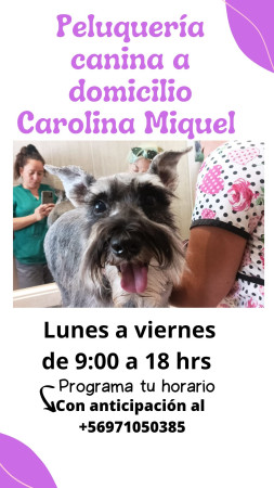 Imagen 0